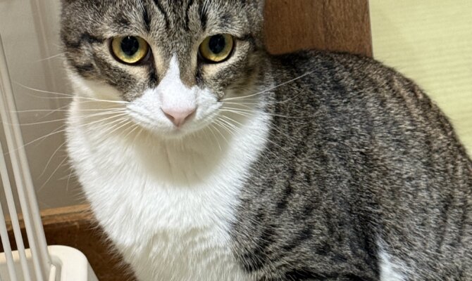 【お茶の水】〜野口笑子〜