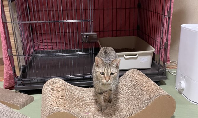 【お茶の水】〜グラタン〜