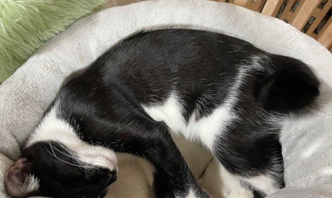 【お茶の水】〜きょうれい〜