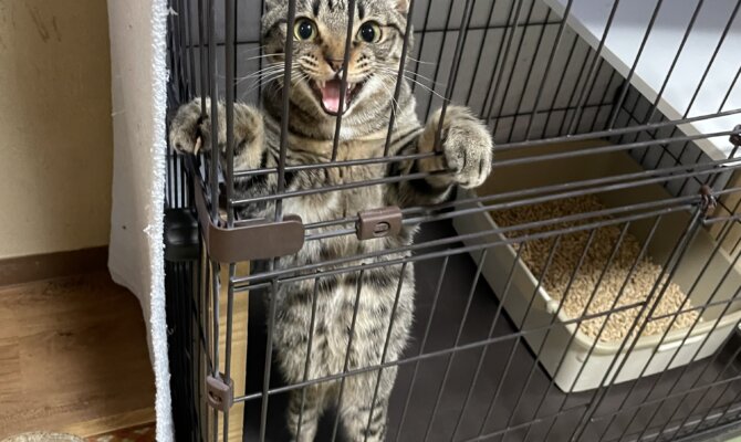 【お茶の水】〜ランカイ〜