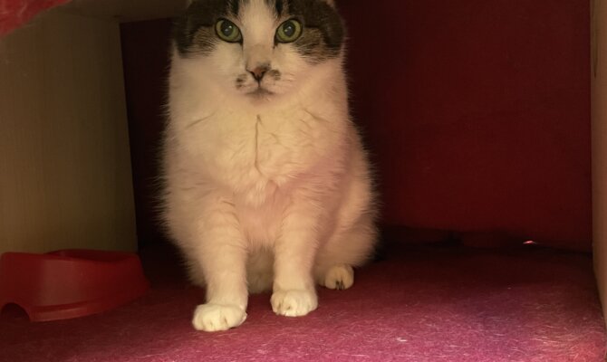 【お茶の水】〜おいたん〜