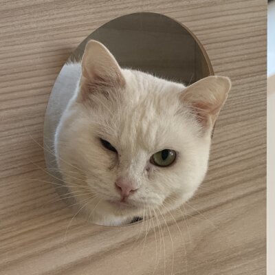 ぺろ【千葉店】