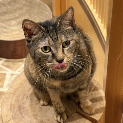 すい【千葉店】