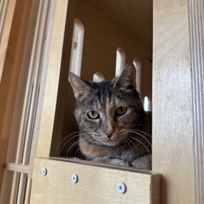 りん【千葉店】