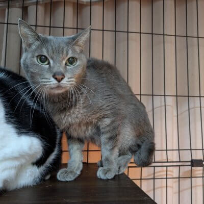 藤なな【高円寺】