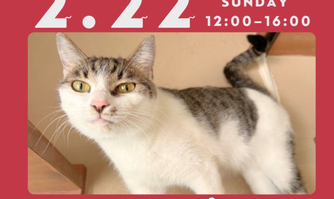 【2月22日 猫の日】岐阜オアシスパークで保護猫譲渡会を開催