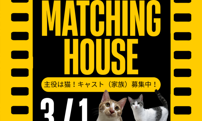 岐阜保護猫譲渡会！主役は猫。キャスト（家族）募集中