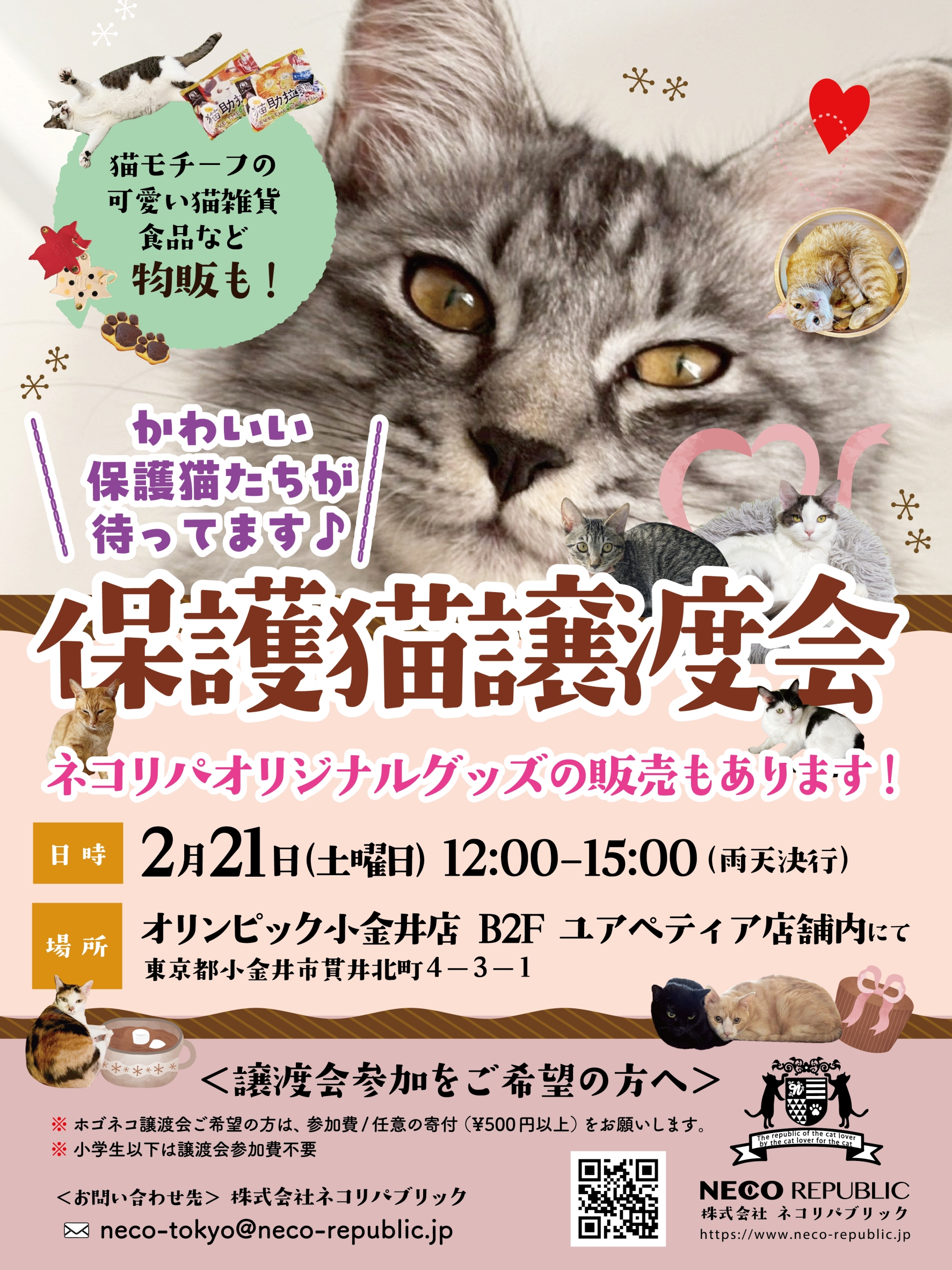 ?猫の日?直前！保護猫譲渡会を開催します? | ネコリパブリック 