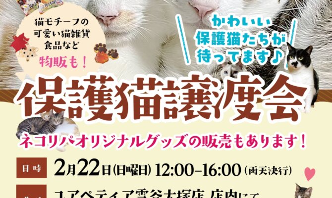 🐾猫の日開催！！保護猫譲渡会🐾