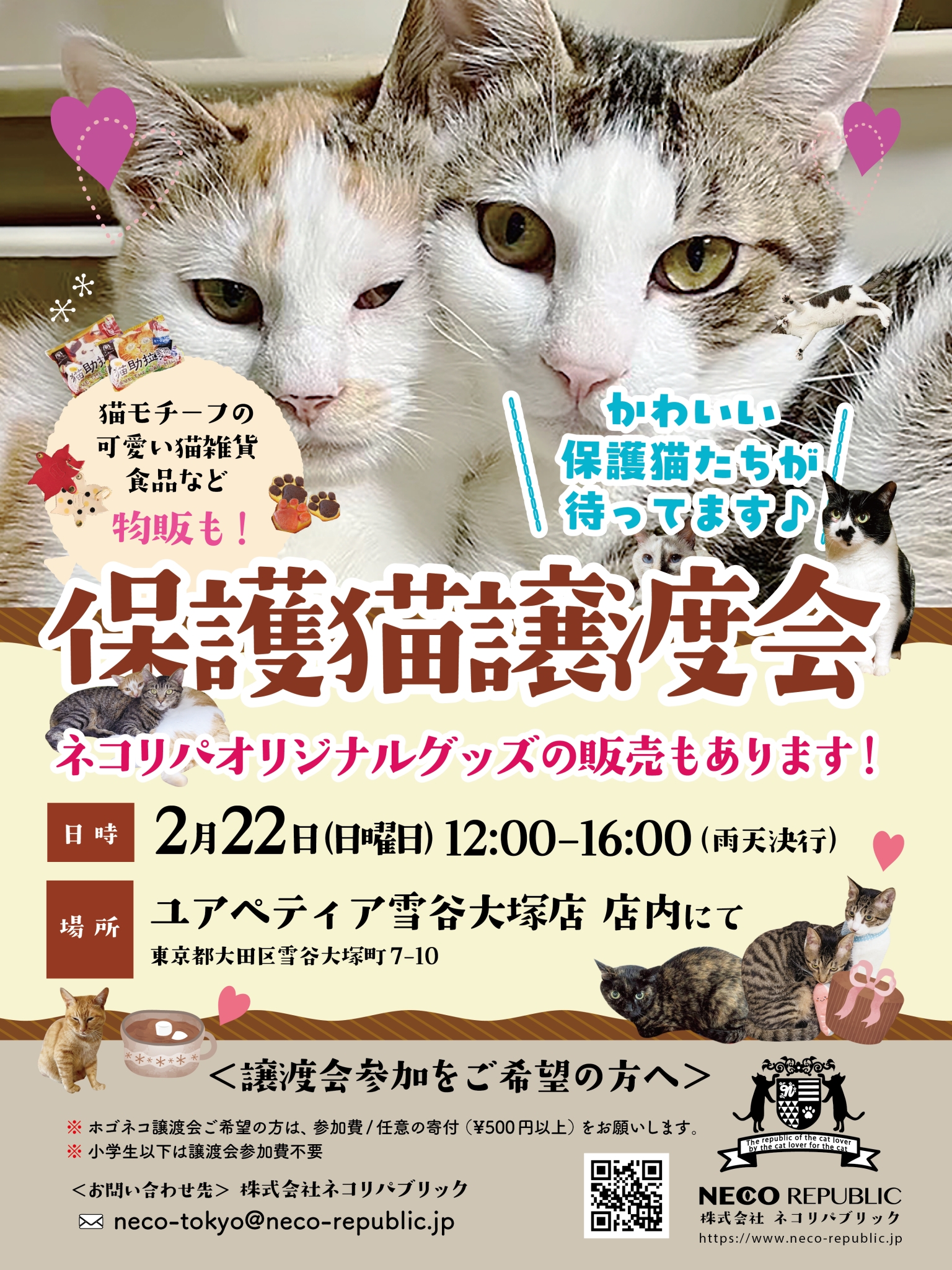 🐾猫の日開催！！保護猫譲渡会🐾 | ネコリパブリック｜日本の猫の殺
