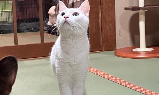 【お茶の水】〜出雲〜