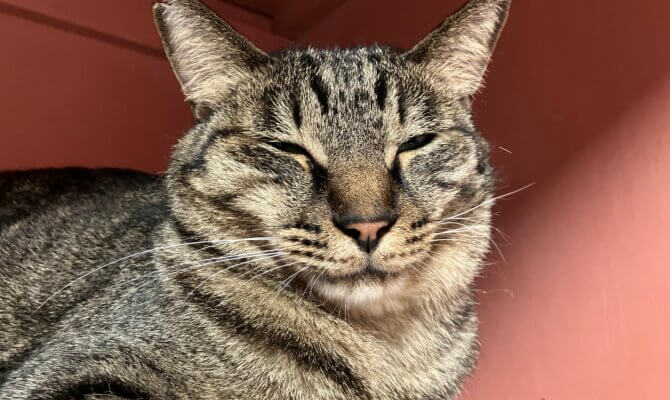 【お茶の水】〜菊正宗清四郎〜