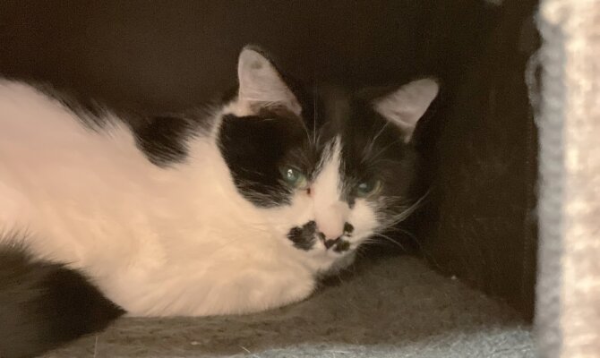 【お茶の水】〜ちゃんぽん〜