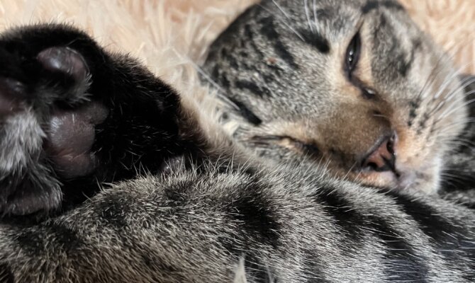 【お茶の水】〜ランカイ〜