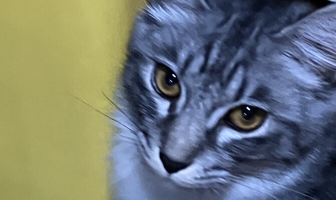 【お茶の水】〜さっしー〜