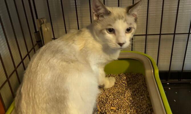 アマテラス＆イザナギが一緒にトライアル開始‼️