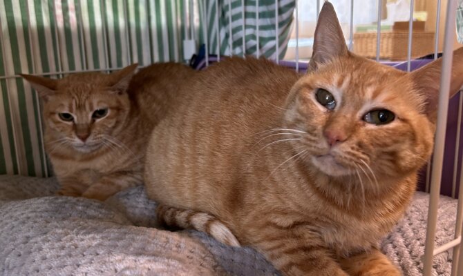 ドナ＆アンドレアが一緒にトライアルスタートです‼️