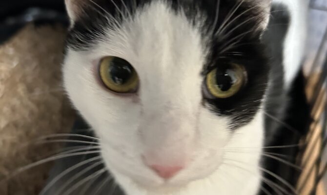 チュロ＆光秀が一緒にトライアルスタート‼️