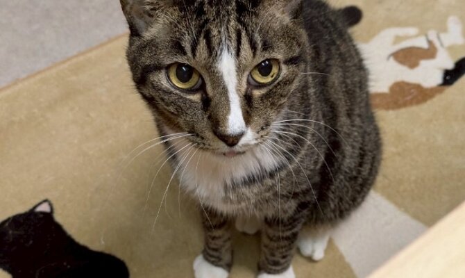 【お茶の水】〜マイキー〜