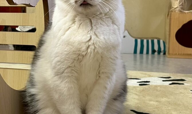 【お茶の水】〜おいたん〜