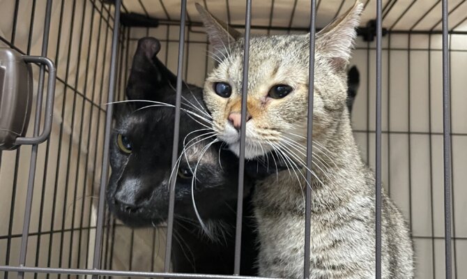 のり太郎＆グラタントライアル出発しました❣️