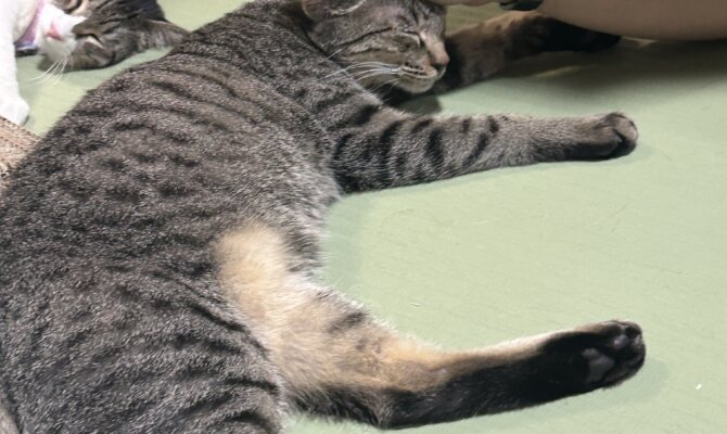 【お茶の水】~尾到~