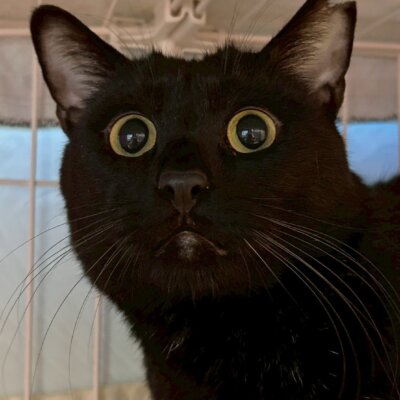 サイシン【岐阜店】