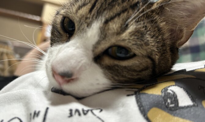 【お茶の水店】~山根 つよし~