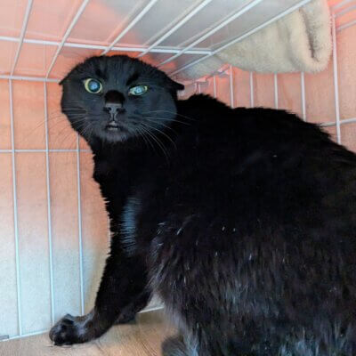 藤ディグレ【高円寺】