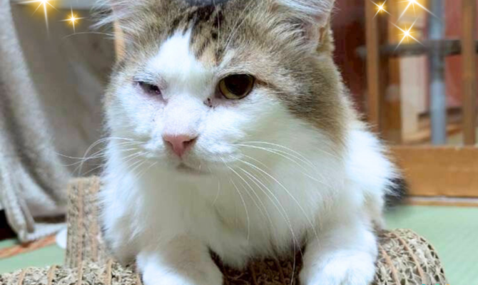 【お茶の水】新之介、トライアル出発です💕