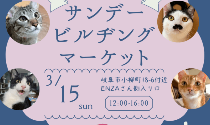 春のまち歩きと保護猫の出会い🐾 岐阜・柳ヶ瀬サンビル保護猫譲渡会