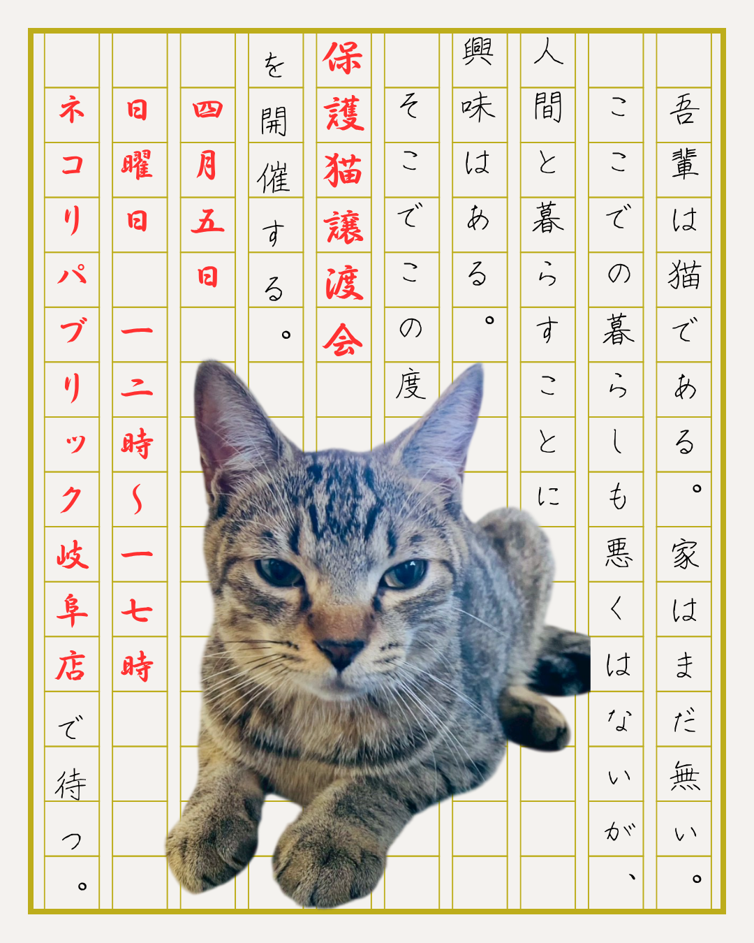 譲り先決定、CATV加入権利譲ります。 CATV加入権の中古が安い！激安で譲ります・無料であげます｜ジモティー