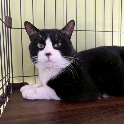 スコーン【高円寺】