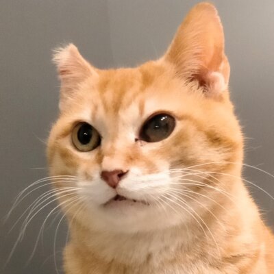 ディスト【池袋】