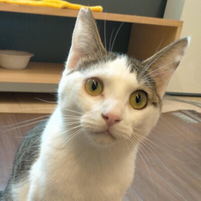 ガレット【池袋】