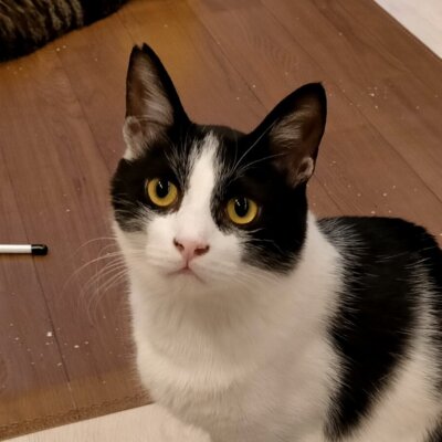 じゅえる【池袋】