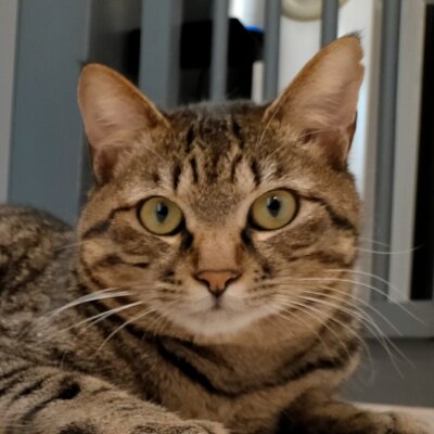 タップ【池袋】