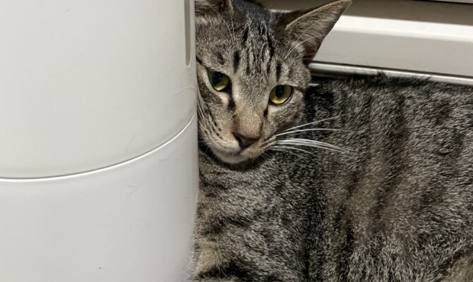 【お茶の水】〜尾到〜