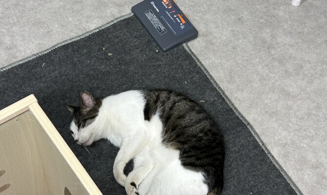 【お茶の水店】~ちまき~