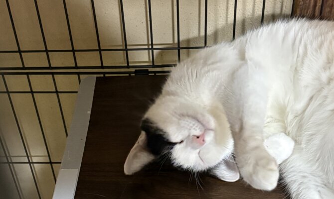 【お茶の水店】~くるる~