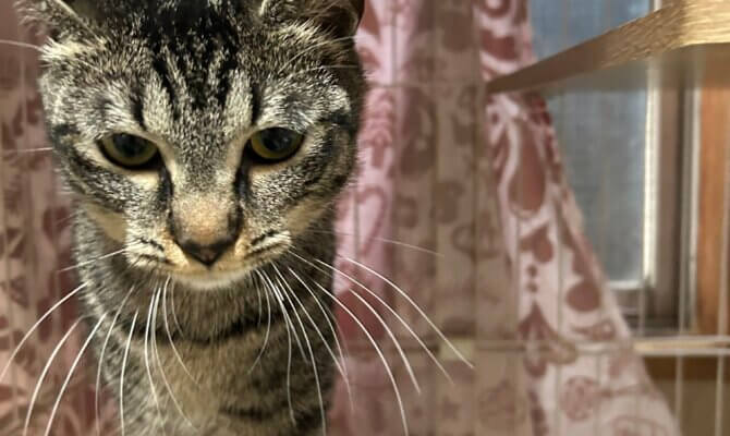 【お茶の水】〜夕月〜