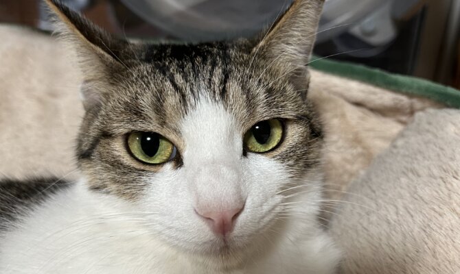 【お茶の水】〜ドリームライナー〜