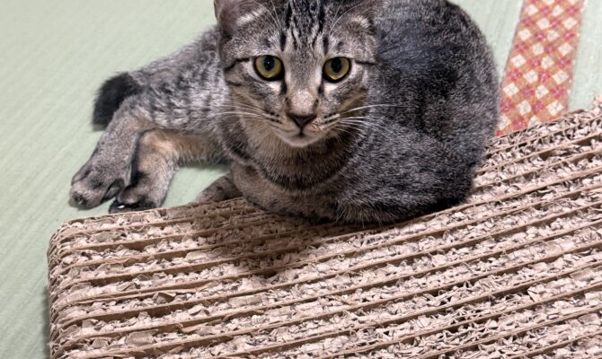 【お茶の水】〜尾到〜