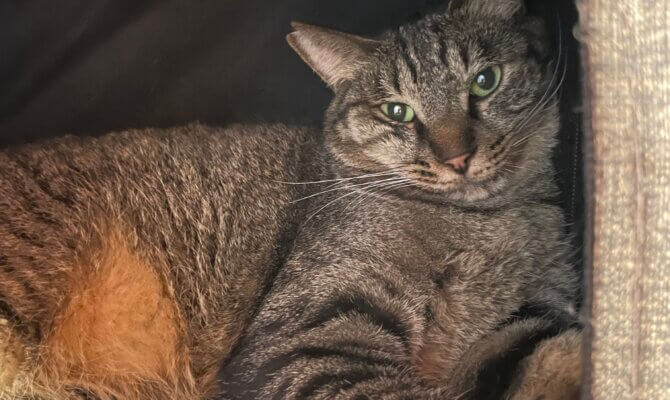 【お茶の水】〜菊正宗清四郎〜