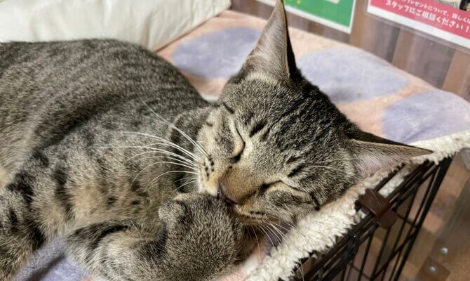 【お茶の水】〜尾到〜