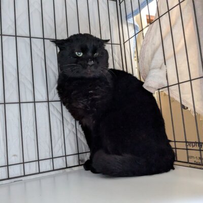 ビスコッティ【高円寺】