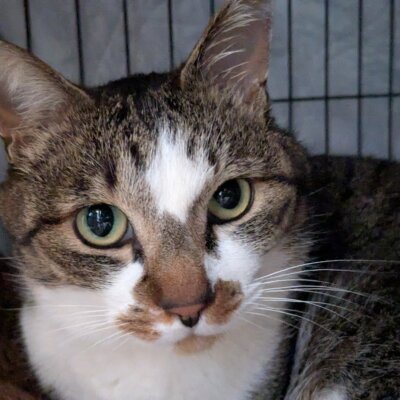 三宅 海【高円寺】