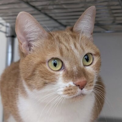 あやこ【池袋】