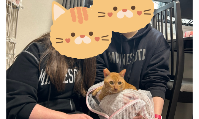 【お茶の水店】きいろ＆パフェ トライアルへ出発！