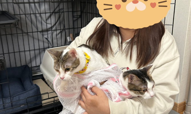 ラブブ＆モココ トライアルスタート🚗³₃